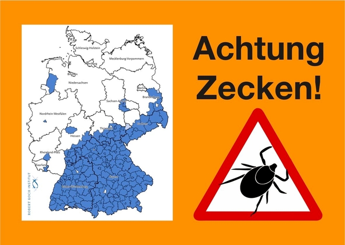 Zecken Bild